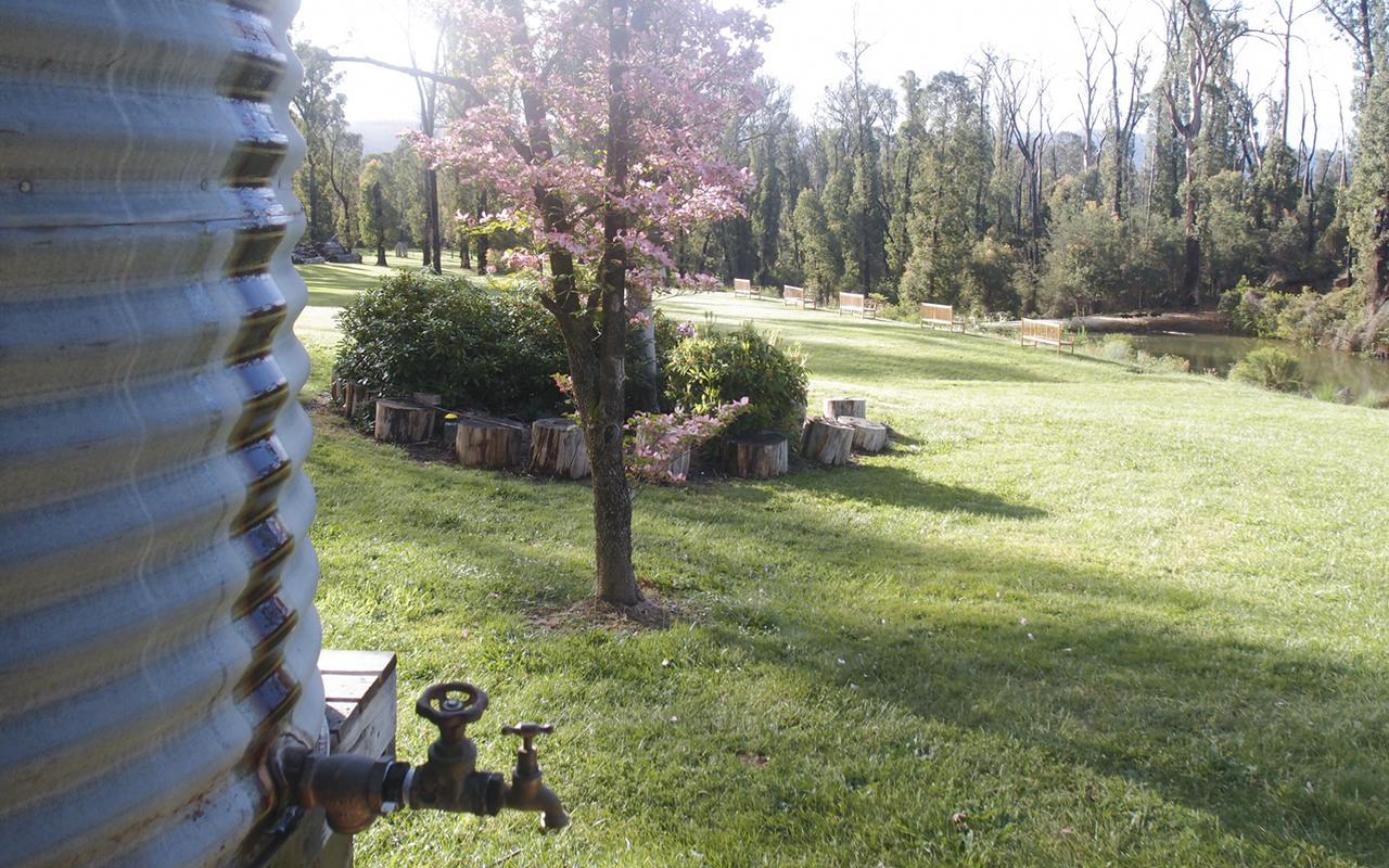 Saladin Lodge Narbethong Zewnętrze zdjęcie